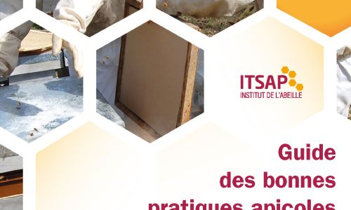 ITSAP-GBPA-MAJ_2018-Couverture-Web