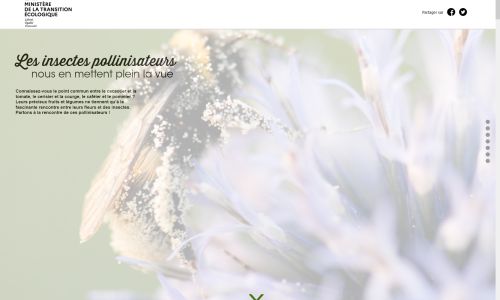 Les-insectes-pollinisateurs