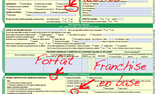extrait_cle0781ba.png