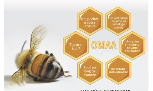 Affiche OMMA