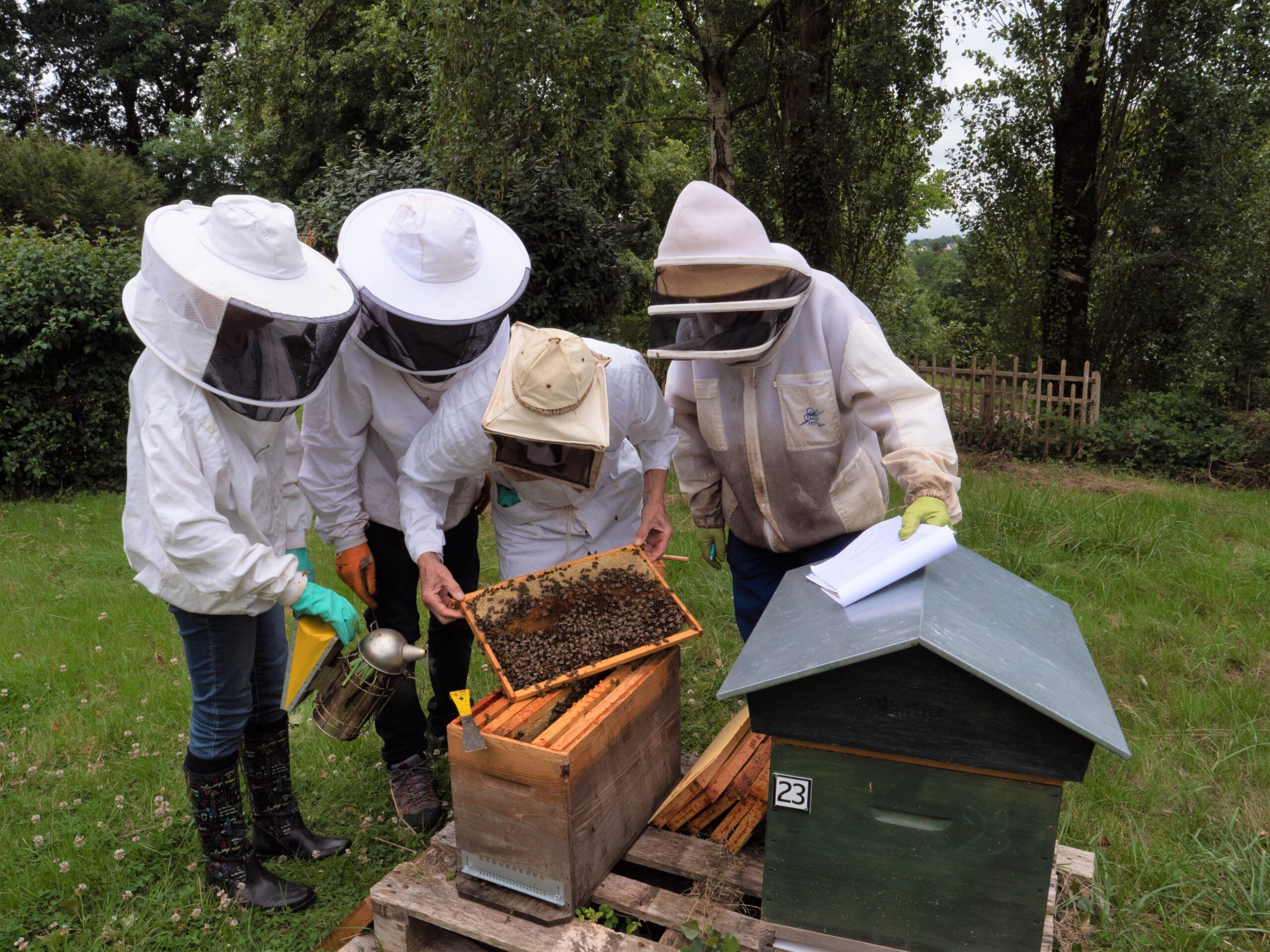 Division d'une colonie pour obtenir deux essaims_Photo P. Bouron