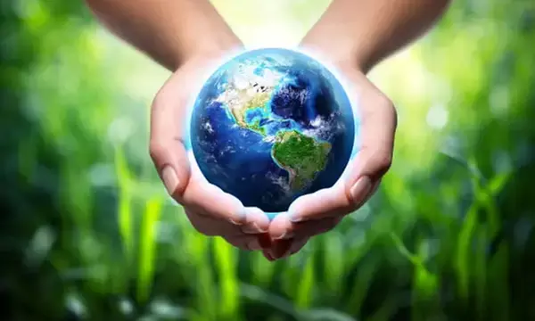 geobiologie