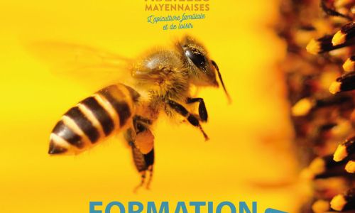 2024-abeilles-mayennaises---PUB-formation-Niveau-1