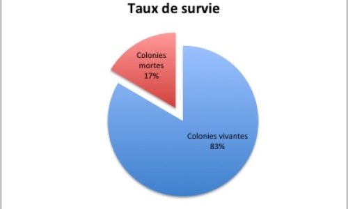 taux_de_survie_cle89d919.jpg
