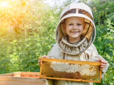 Stage « Découverte des abeilles »