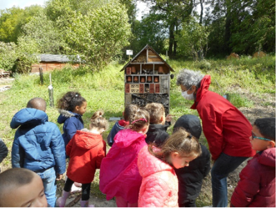 animations pour les scolaires