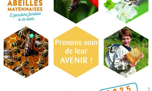 Voeux_Abeilles-Mayennaises_2025