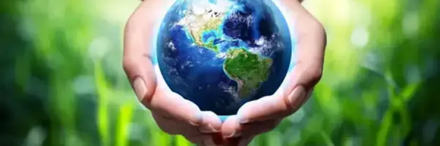 geobiologie