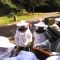 Devenir apiculteur amateur? Découverte de l’apiculture